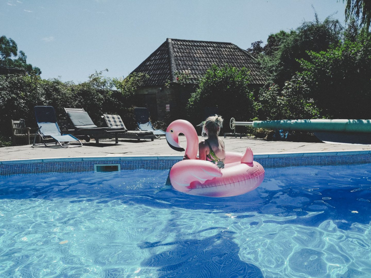 flamingo toy in swimming pool